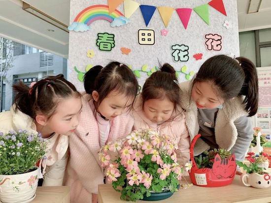 苏州市相城区陆慕实验小学开展第二届“启耕节”系列活动