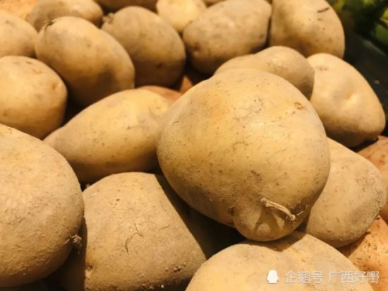 12316农技丨冬季<em>马铃薯种植</em>5项高产技术，<em>快</em>收藏！