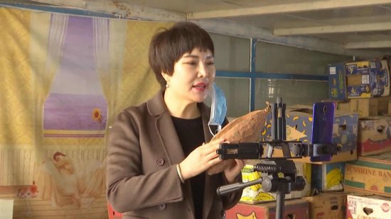 全网卖红薯：内蒙古开鲁县多渠道助力销售7万斤滞销红薯