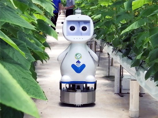 福建发布首款人工智能农业机器人