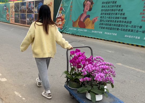 郑州年宵花市场“繁花”绽放 蝴蝶兰成“顶流”