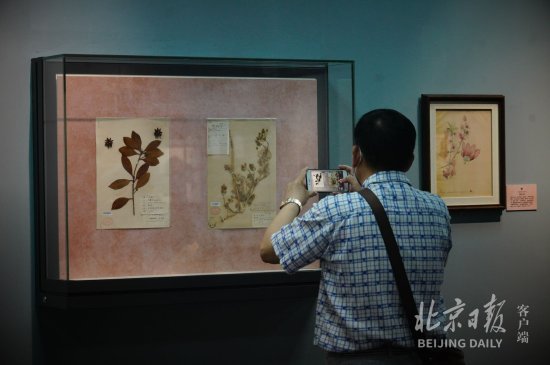 北京<em>自然博物</em>馆开新展，让您从不同角度发觉美