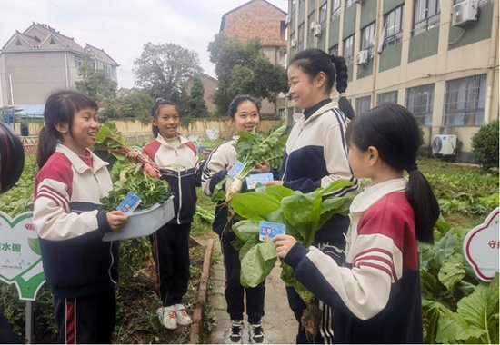 柯城区花园小学：种植实践显成果，新鲜蔬菜进“超市”