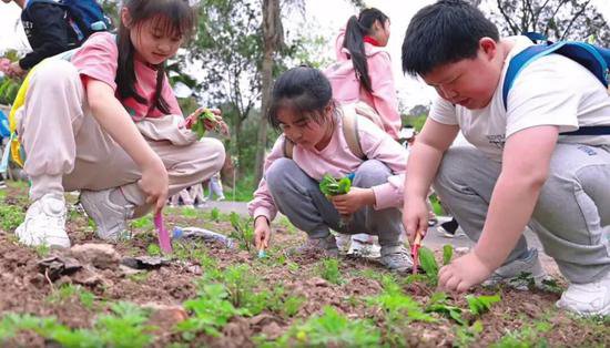 江北区雨花小学三年级开展2024年春季社会实践活动