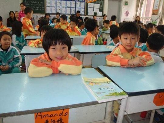 郑州市各区<em>小学排名</em>，中原、金水区、二七、高新、经开、惠济