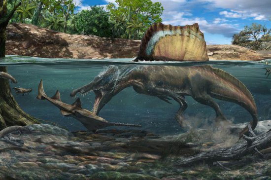 国外考古学家发现最大涉水食肉恐龙，可谓“白垩纪时期的大白鲨...
