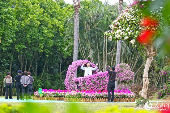 海峡两岸精品花卉在福建漳州集中展出