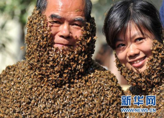 20多万只蜜蜂"上身" 他熬过来的秘密是什么？