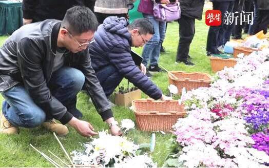 视频|<em> 回归自然</em>，绿色惠民，扬州墓园举行生态葬集中安放仪式