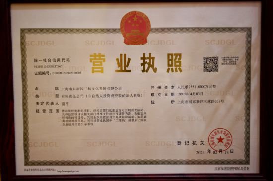 上海浦东实现非主营、许可经营范围登记零跑动、优记载、自主选