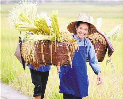 广南：“一粒米”撬动大产业