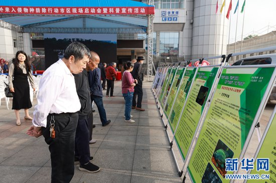 武汉市启动2024年外来入侵物种防除行动