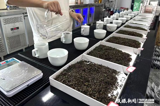 湄潭茶园：以草治草守护“干净茶”