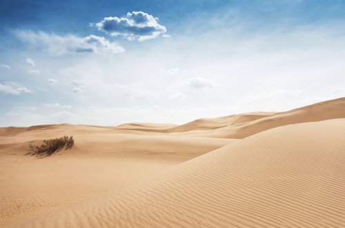 亿利资源集团光伏治沙 送给沙漠一片蓝色的“海洋”