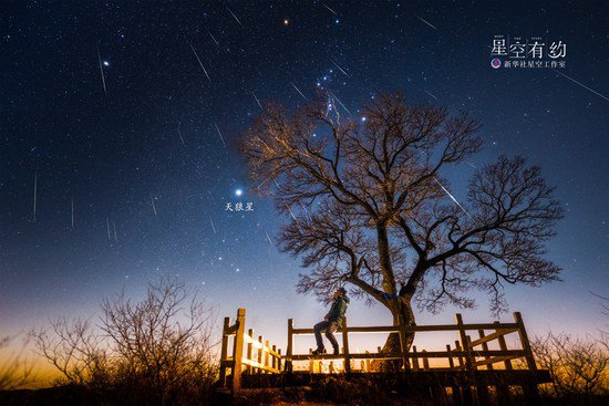 夜空中<em>最亮的</em>恒星天狼星迎来观测季