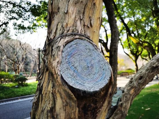 上海中山公园新添<em>8</em>个“树洞<em>画</em>”，你发现了吗？