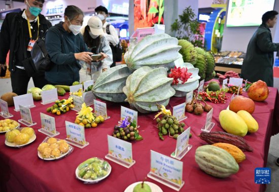 12月15日，观众在<em>参观</em>海南<em>文昌</em>展台展示的养殖海马。