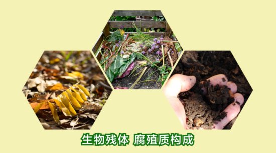 【<em>三农</em>词条】<em>什么是</em>土壤有机质？