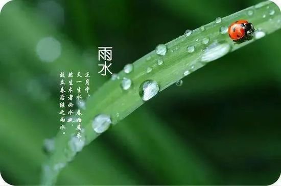 【<em>节气</em>里的大美中国】雨水的由来及习俗