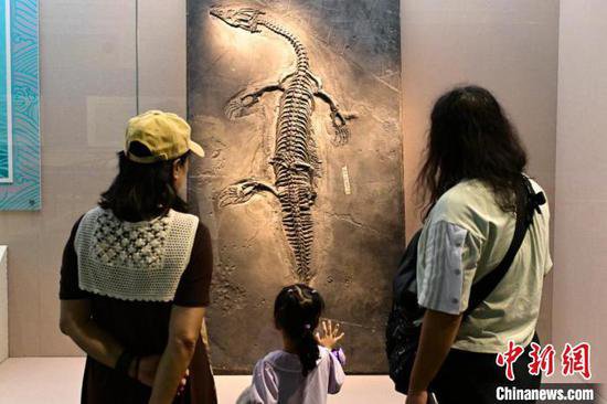 “龙跃黔海——贵州三叠纪的海洋世界”展览在<em>北京</em>开展