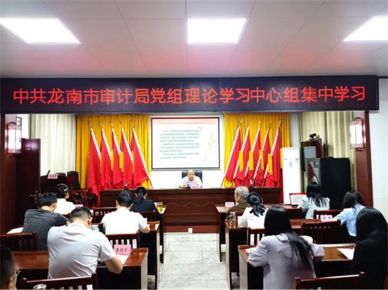 龙南市审计局党组理论学习中心组召开专题学习会