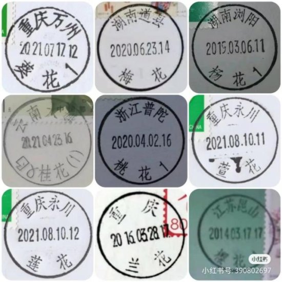 邮戳上的中国“植物地名”是真的：柿子、<em>栗子</em>、萱花、莲花……