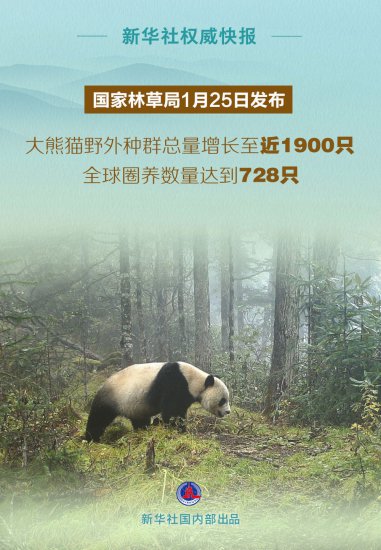 我国大熊猫<em>野外</em>种群总量增长至近1900只