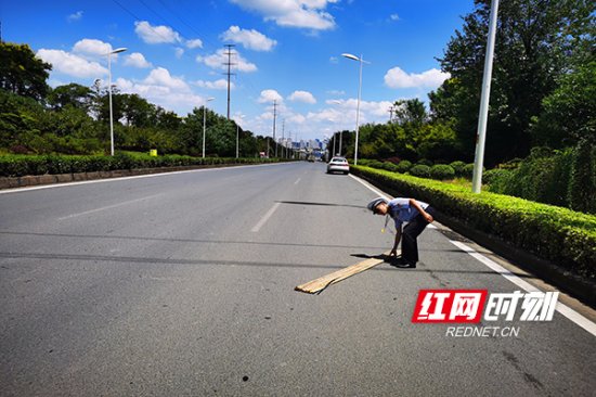株洲天元交警及时清除带钉木板 消除道路安全隐患