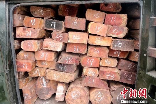 云南两名男子非法收运国家保护植物木材被刑拘