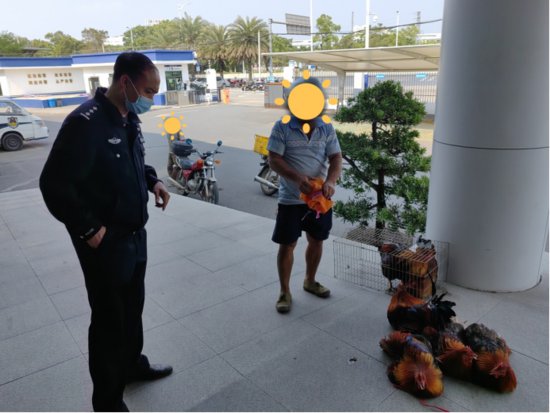 “鸡”不可失！广州南沙警方3小时追回被盗家鸡