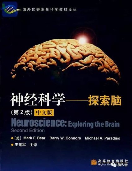 DeepMind哈萨比斯狂推的神经科学，<em>入门</em>需要<em>看什么书</em>？