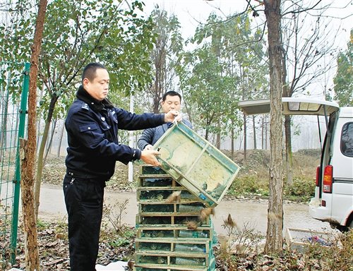 虞城县森林公安局侦破一起捕卖受保护鸟类的案件