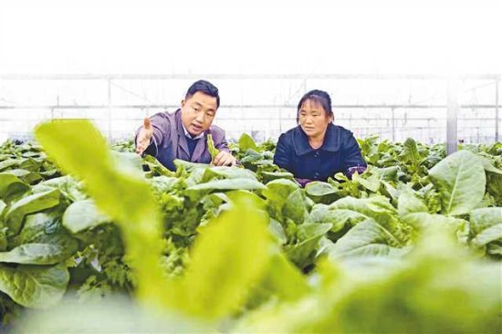 南川区腾春蔬菜专业合作社负责人姜国强：用智慧农业做大产业