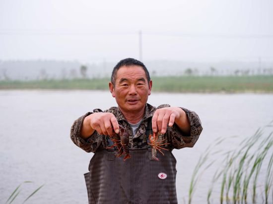 安徽<em>五河</em>:小龙虾养殖助农增收