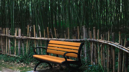 在竹林秘境中避暑，魔都闹中取静有这些好去处