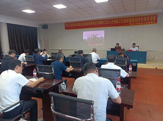 黑龙江省林业工会劳模工作室联盟为红松果林栽培出谋划策