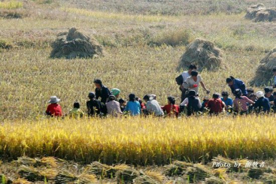 实拍朝鲜农村：为何农民一年辛苦劳作，朝鲜的粮食供应还是紧张...