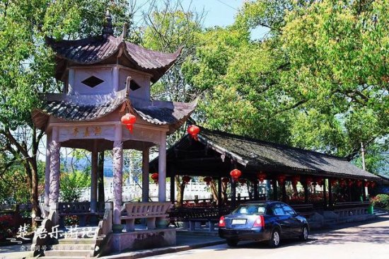 浙江宁波有一个古村，<em>茶园</em>美如欧洲童话，旁边还有美丽的红杉林