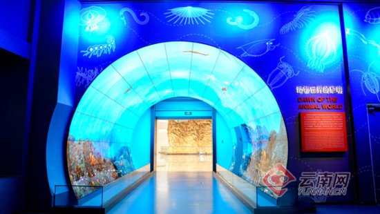“三生万物”的澄江化石地自然博物馆