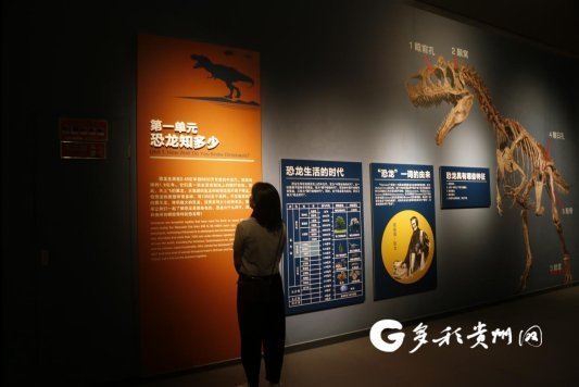 “<em>恐龙</em>天团”来了！11月28日前，去贵州省博物馆与它们亲密接触