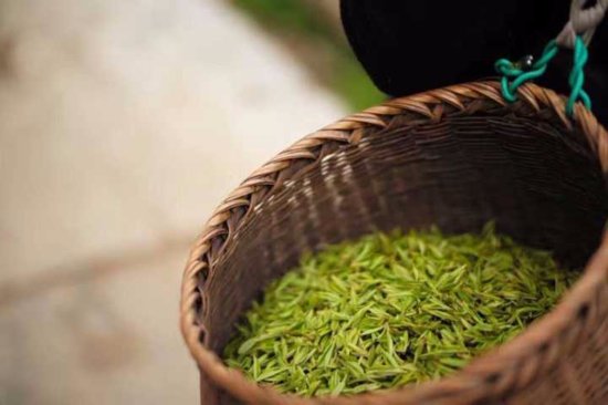 低于2000元一斤的龙井新茶 都不是西湖景区的