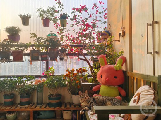 把生活过成诗！重庆最美阳台和庭院满满都是爱