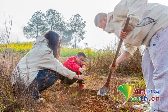 重庆南川区志愿者种植新绿绘就美丽生态画卷