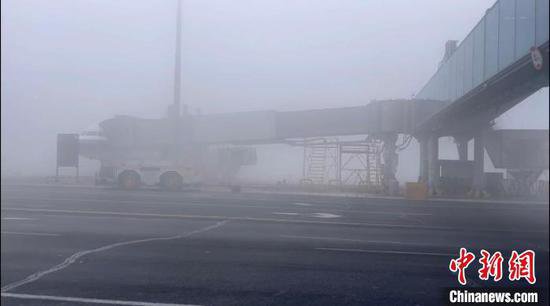 <em>大雾天气</em>影响哈尔滨机场71个航班