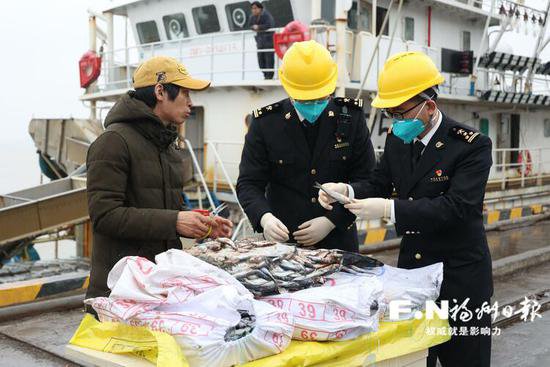 福清元洪码头迎来<em>远洋</em>渔船集中返港季 预计总货量约7700吨