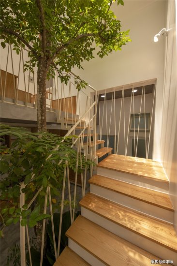 越南小哥在楼缝<em>中建房子</em>，错层设计室内种树，75㎡的家生机勃勃