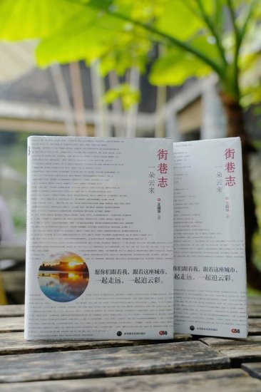 深圳文学季“王国华作品研讨会”举行