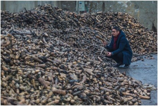 上海男人跑到湖北做藕粉 结果一年卖出20吨
