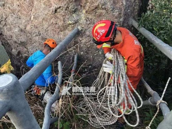 温州一游客疑因拍照坠崖身亡 同行者曾劝他不要冒险