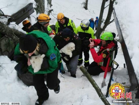 意大利遇雪崩酒店挖出三只<em>狗宝宝</em> 救援人员又抱又亲